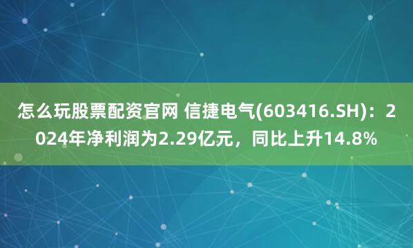 怎么玩股票配资官网 信捷电气(603416.SH)：2024年净利润为2.29亿元，同比上升14.8%